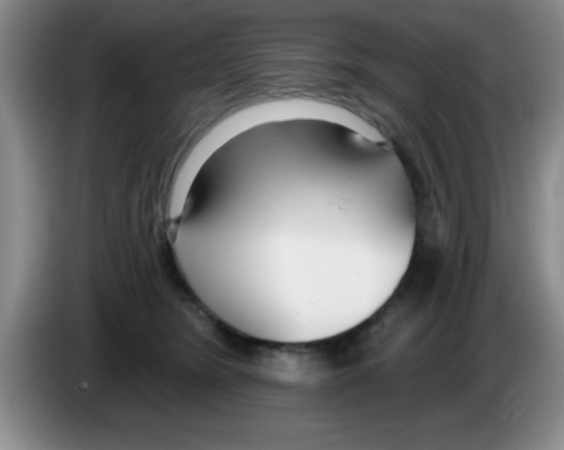 X0000083590420200703091724