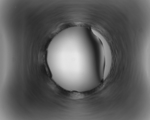 X0000083590421200703091724