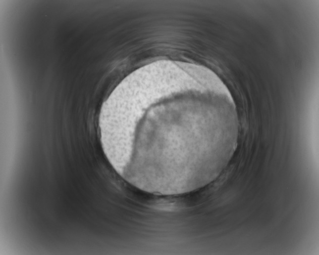 X0000083590423200703091724
