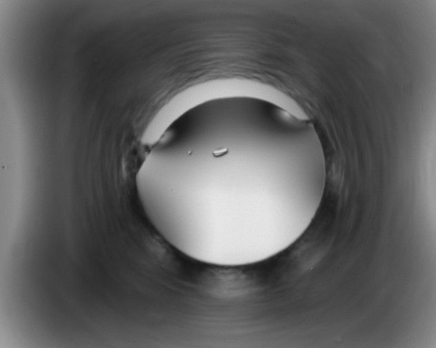 X0000083590424200703091724