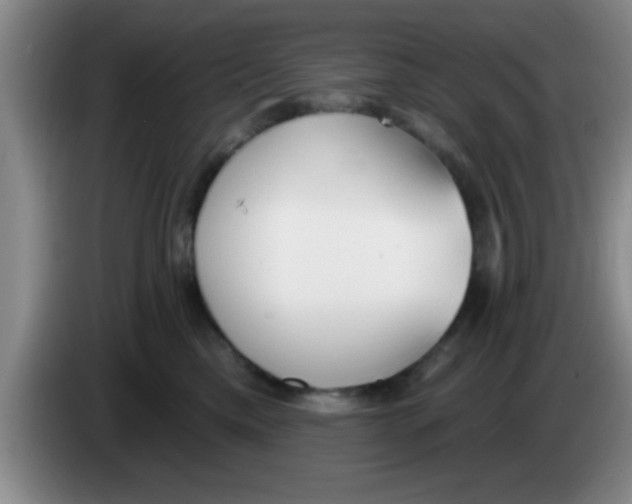 X0000083590425200703091724
