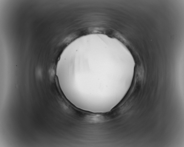 X0000083590427200703091723