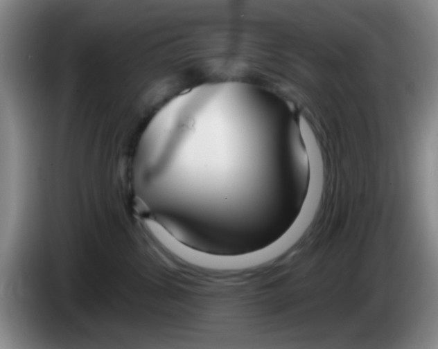 X0000083590428200703091723