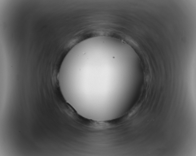 X0000083590429200703091723