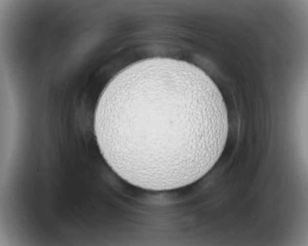 X0000083590430200703091723