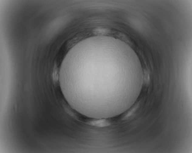 X0000083590431200703091723