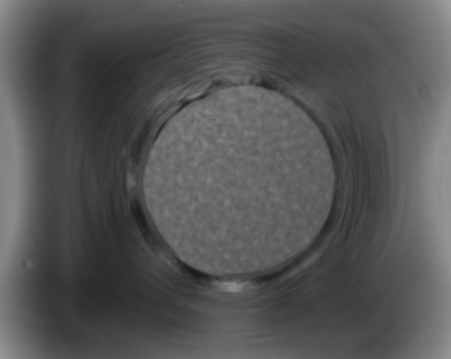 X0000083590432200703091723