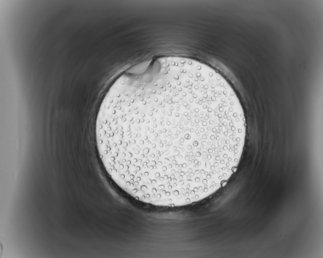 X0000083590433200703091723