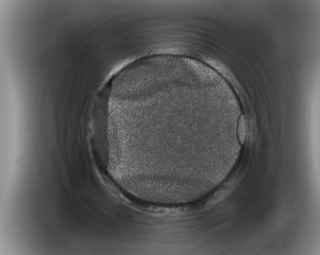 X0000083590434200703091723