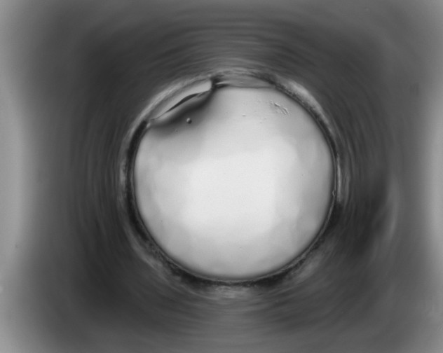X0000083590435200703091723
