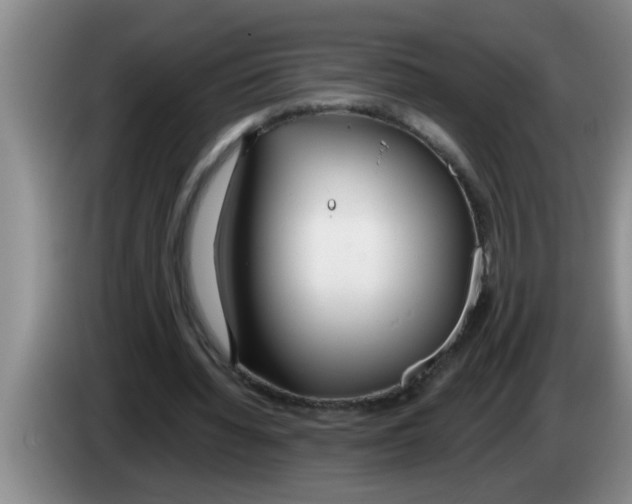 X0000083590436200703091723