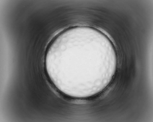 X0000083590437200703091723