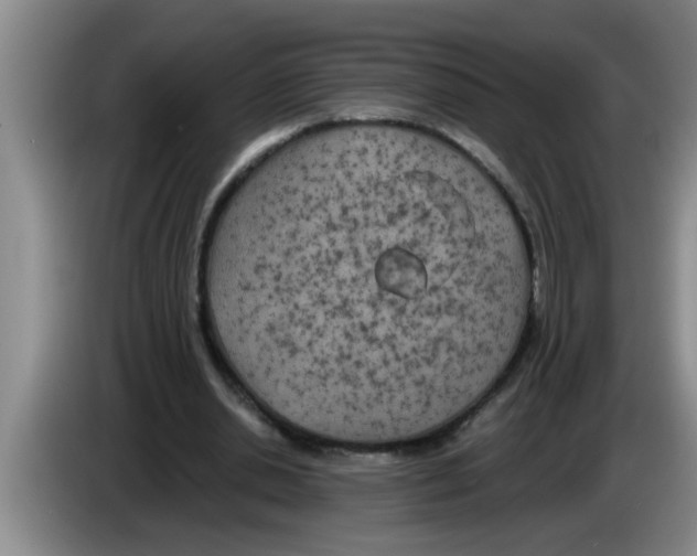 X0000083590438200703091723
