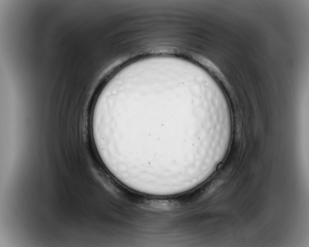 X0000083590439200703091723