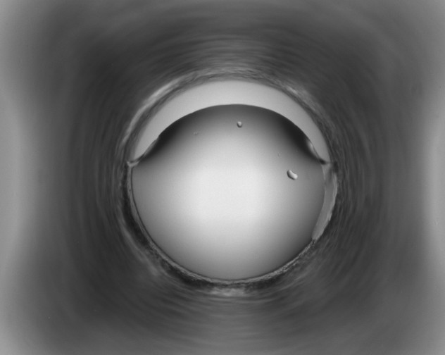 X0000083590440200703091723