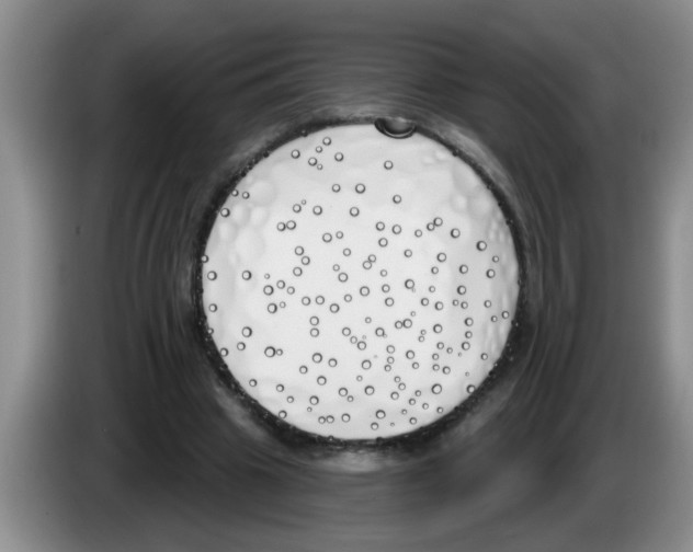 X0000083590441200703091723
