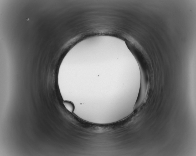 X0000083590442200703091723