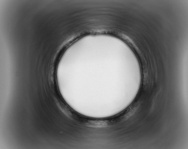 X0000083590443200703091723