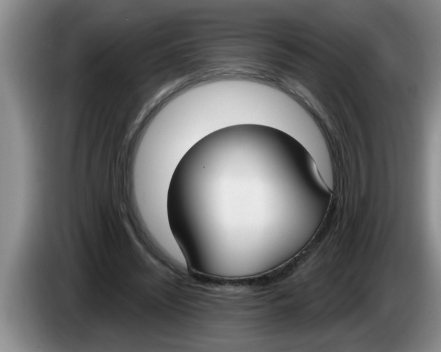 X0000083590444200703091723
