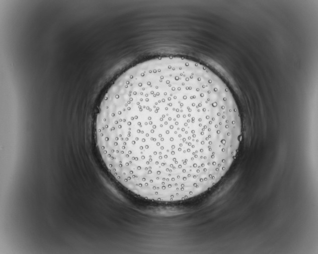X0000083590445200703091723