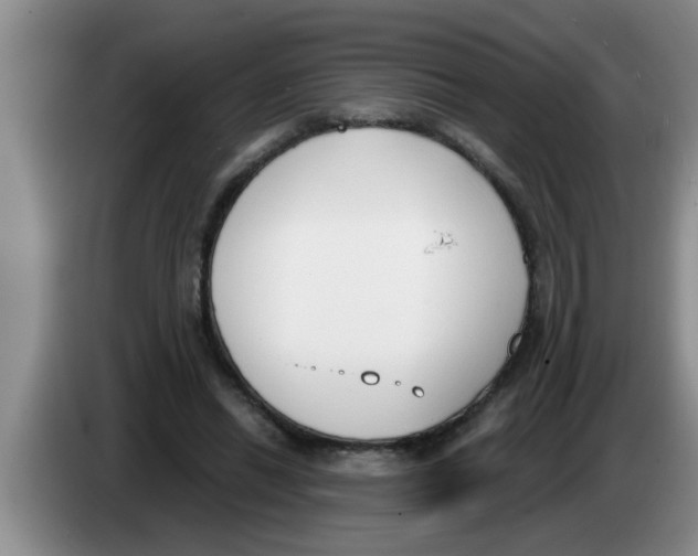 X0000083590446200703091723