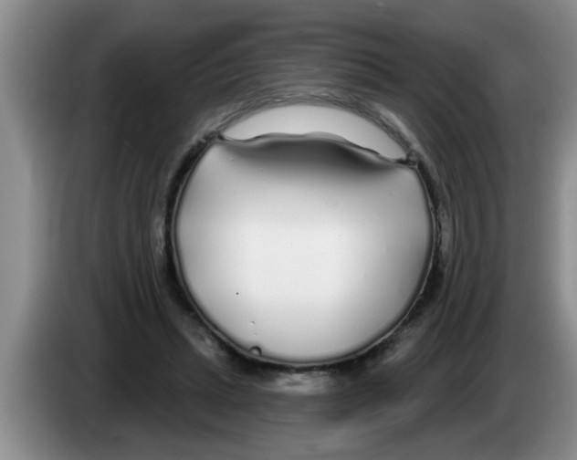 X0000083590447200703091723