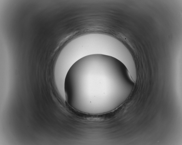X0000083590448200703091723
