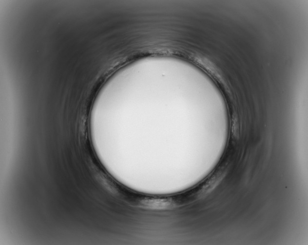 X0000083590449200703091723