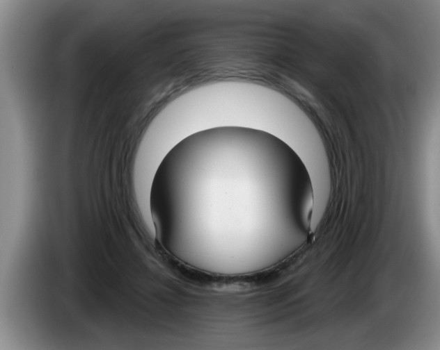 X0000083590452200703091723
