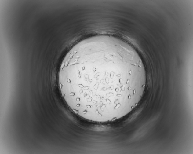 X0000083590453200703091723