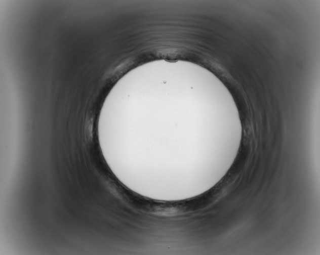 X0000083590454200703091723
