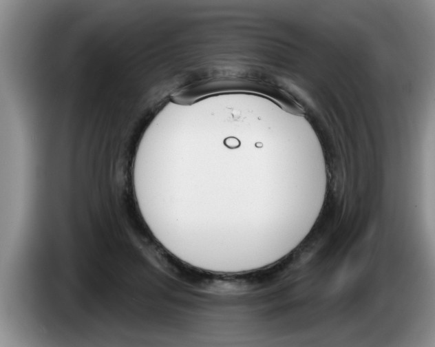 X0000083590455200703091723