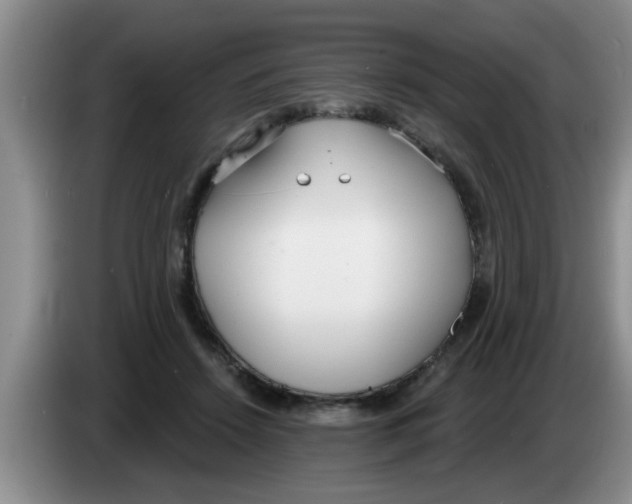 X0000083590456200703091723