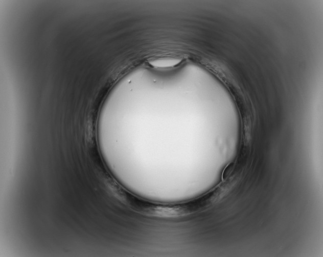 X0000083590457200703091723