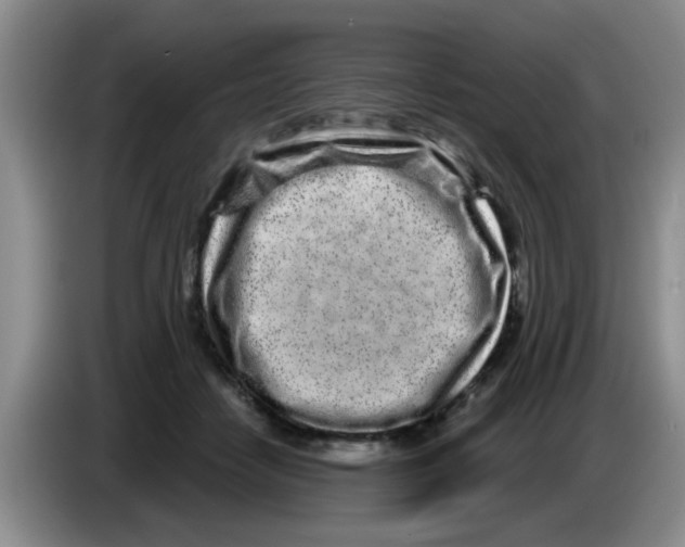 X0000083590458200703091723