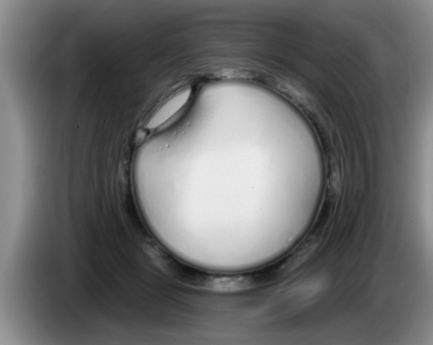 X0000083590461200703091723
