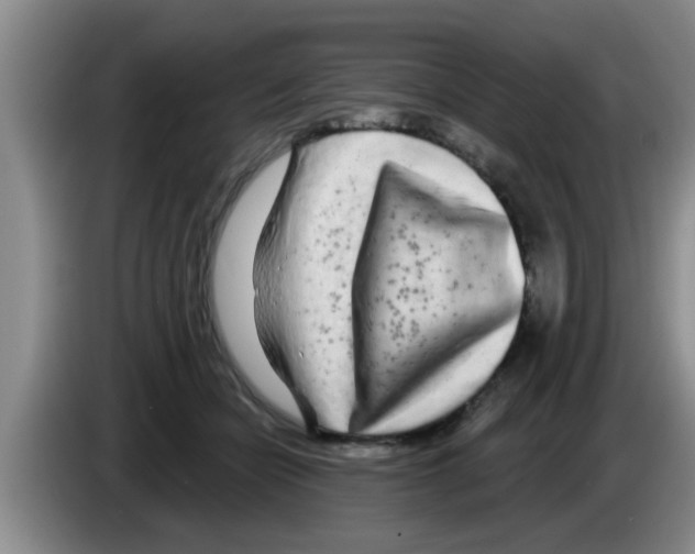 X0000083590462200703091723