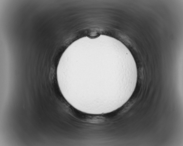 X0000083590463200703091723