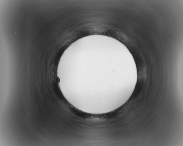 X0000083590464200703091723