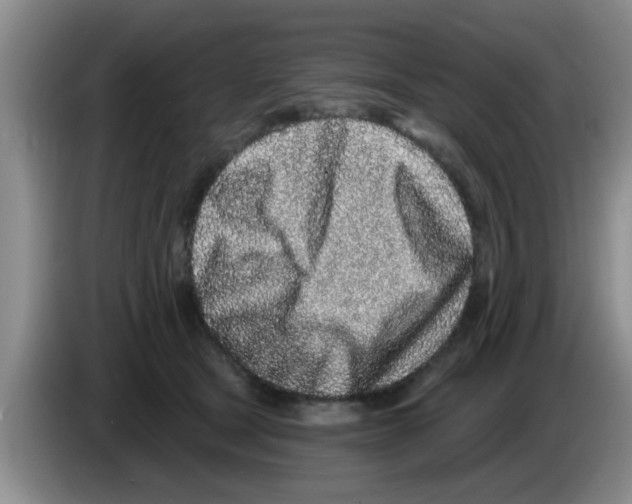 X0000083590465200703091723