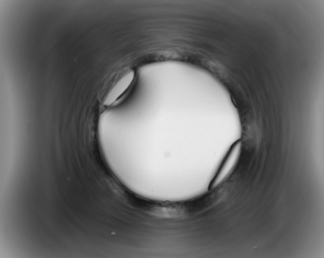X0000083590466200703091723