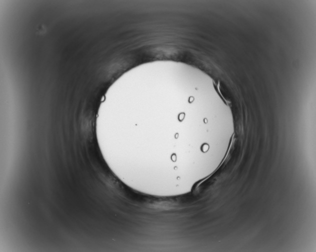 X0000083590468200703091723