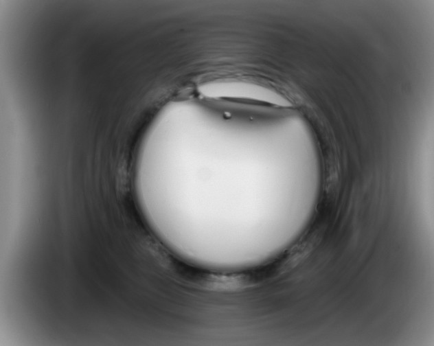 X0000083590469200703091723