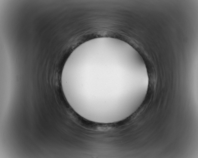 X0000083590470200703091723