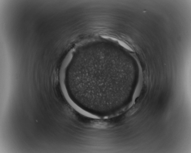 X0000083590471200703091723
