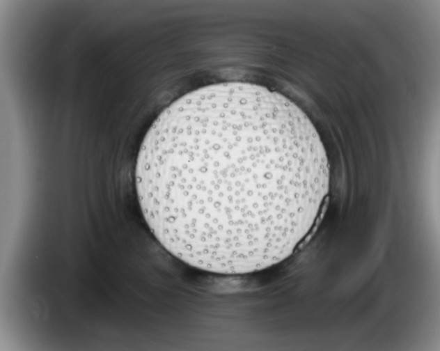 X0000083590473200703091723