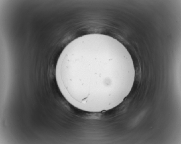 X0000083590474200703091723
