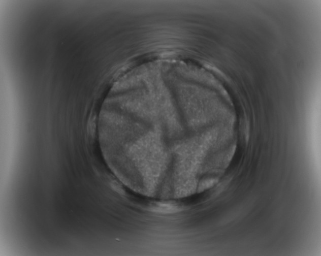 X0000083590475200703091723