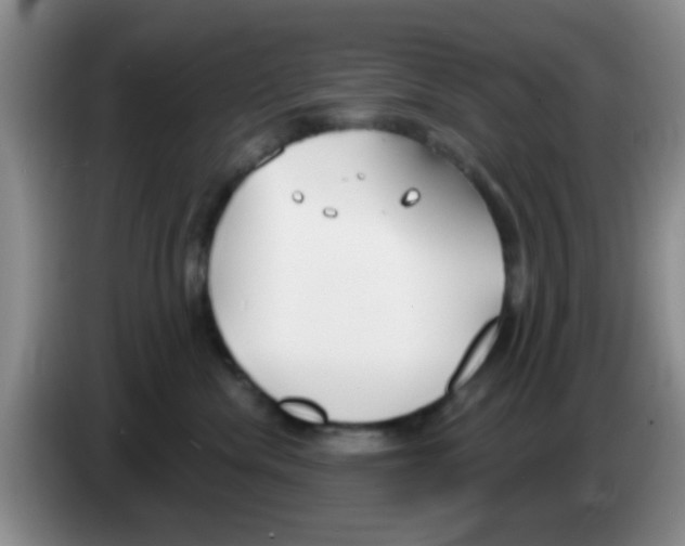 X0000083590476200703091723