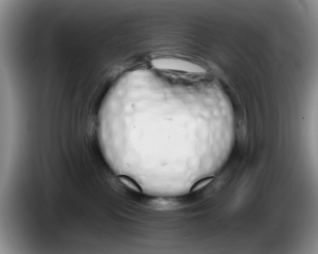 X0000083590477200703091723